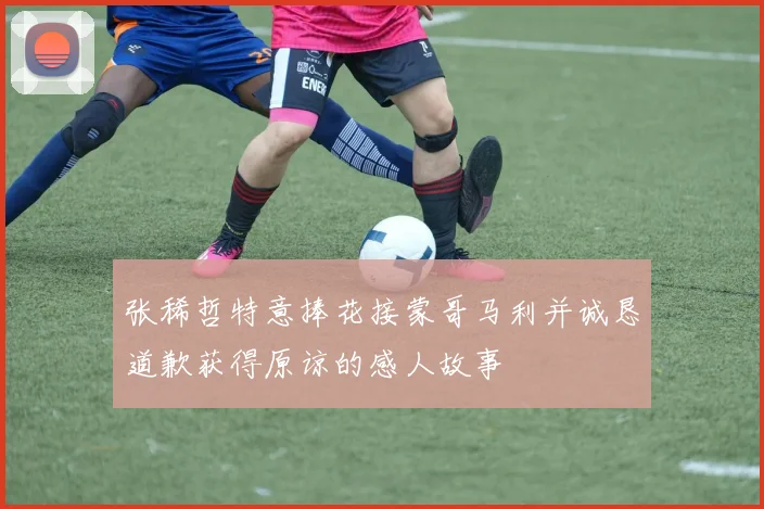 张稀哲特意捧花接蒙哥马利并诚恳道歉获得原谅的感人故事