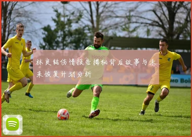 林良铭伤情报告揭秘背后故事与未来恢复计划分析