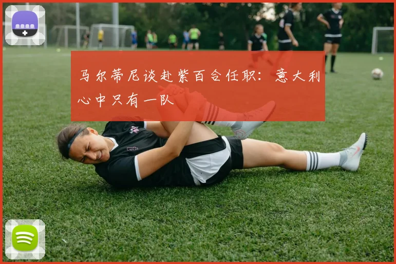 马尔蒂尼谈赴紫百合任职：意大利心中只有一队